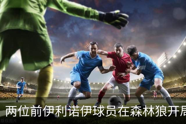 两位前伊利诺伊球员在森林狼开局抢眼，多苏穆场均12分香农13分