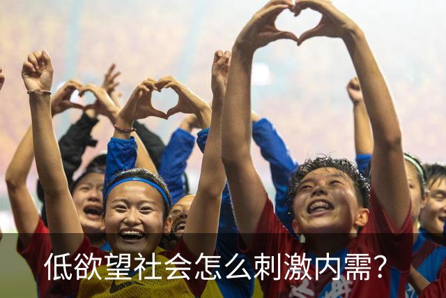 低欲望社会怎么刺激内需？
