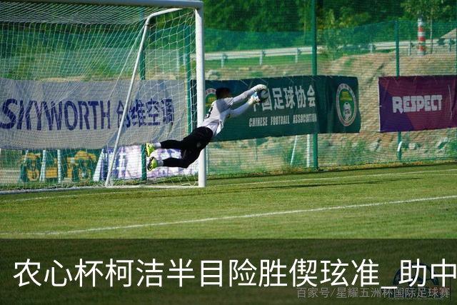 农心杯柯洁半目险胜偰玹准 助中国队赢开门红