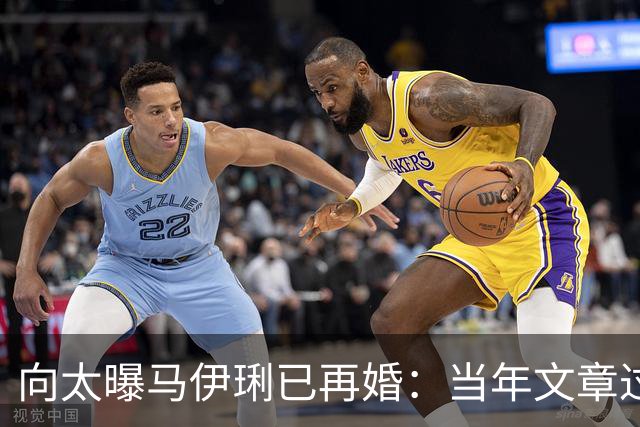 向太曝马伊琍已再婚：当年文章过不了心理那关