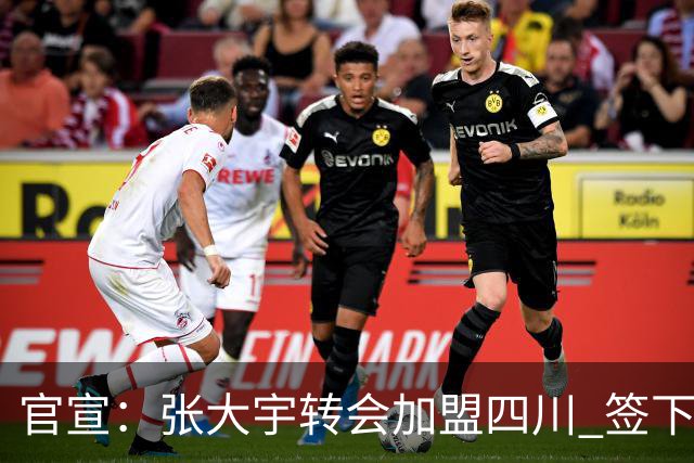 官宣：张大宇转会加盟四川 签下两年C类合同