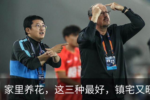 家里养花，这三种最好，镇宅又旺财，家家户户都能养