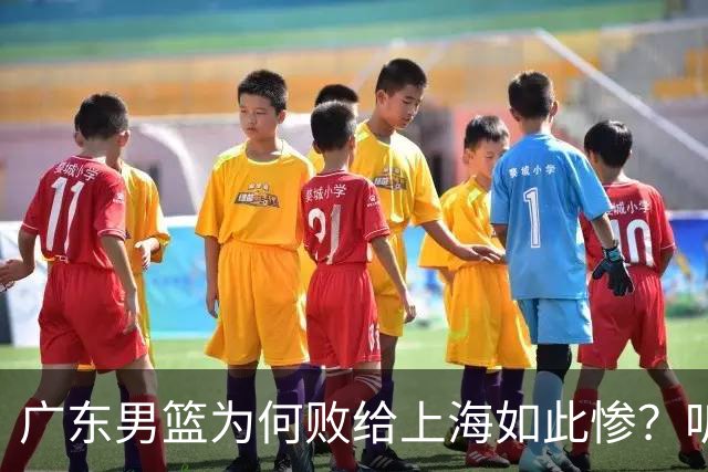 广东男篮为何败给上海如此惨？听听媒体专家分析！众人皆不看好广东