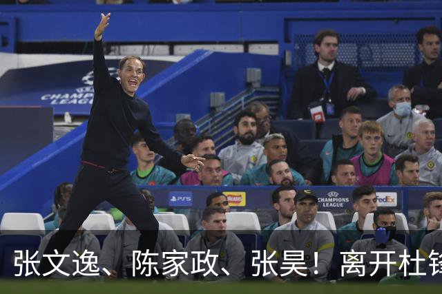 张文逸、陈家政、张昊！离开杜锋不会打球了，也没有上场时间了