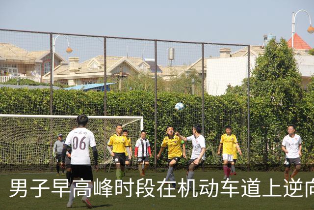 男子早高峰时段在机动车道上逆向闯红灯跑步锻炼，身旁车辆疾驰，交警：近期多起交通违法，一并罚款120元