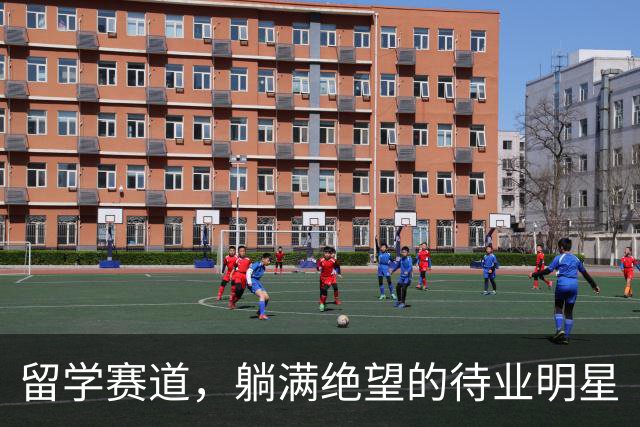 留学赛道，躺满绝望的待业明星
