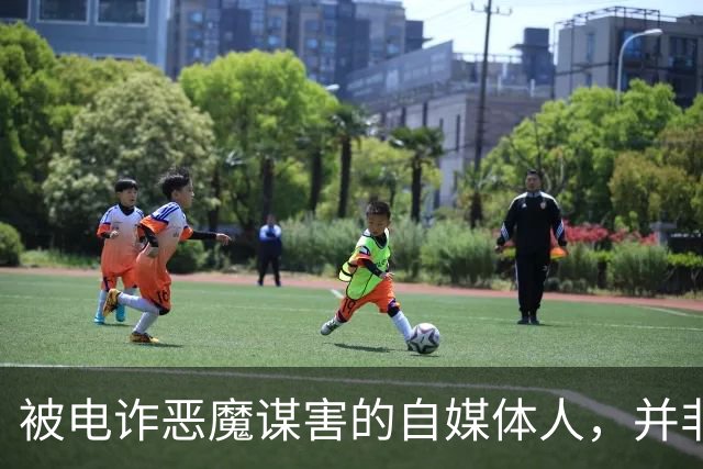 被电诈恶魔谋害的自媒体人，并非“徽剑”一人！