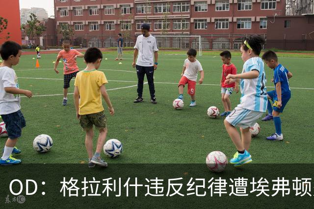 OD：格拉利什违反纪律遭埃弗顿处罚，近11个月未取得进球
